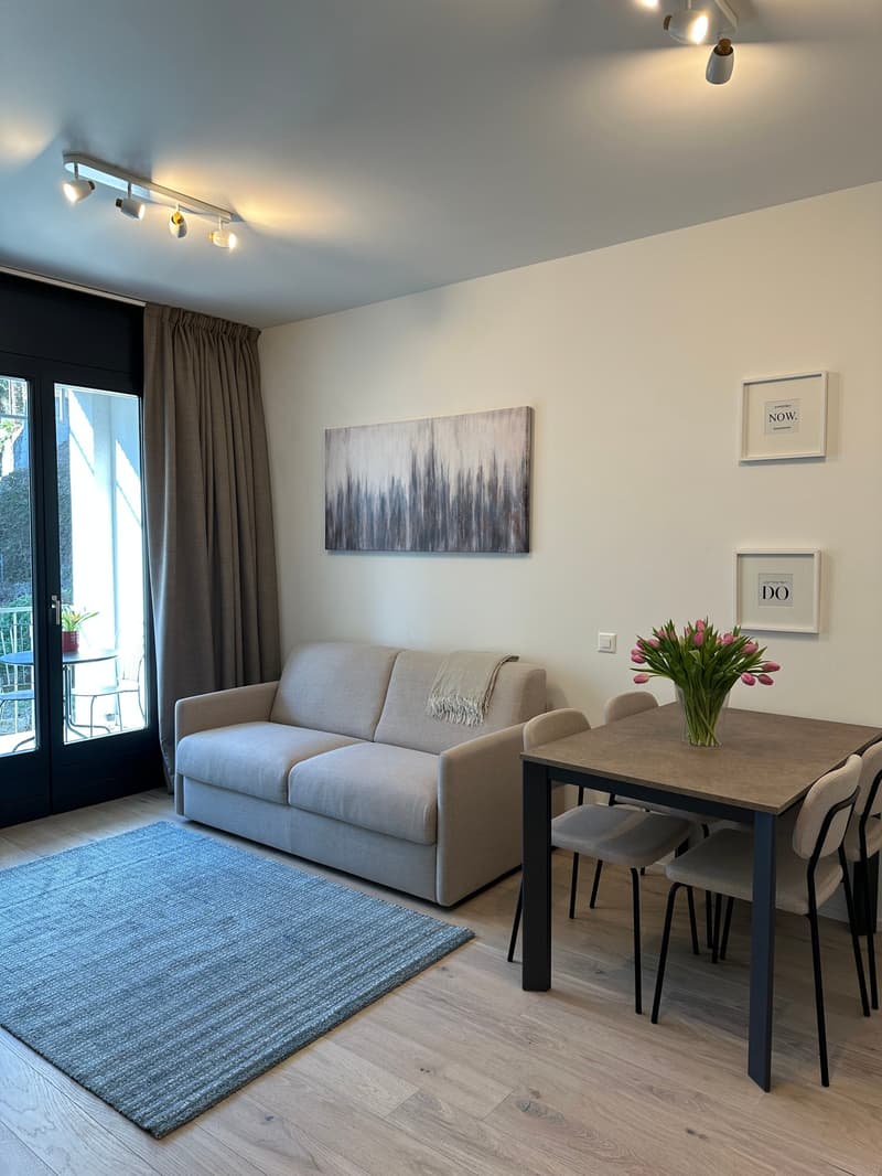 2.5 locali vicino al centro (9)