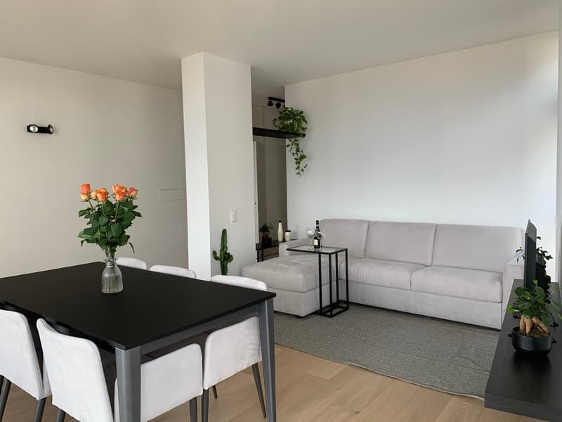 Appartamento VISTA LAGO - arredato Redy to Live (4)
