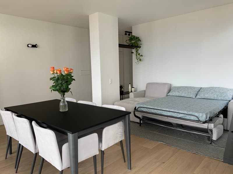 Appartamento VISTA LAGO - arredato Redy to Live (16)
