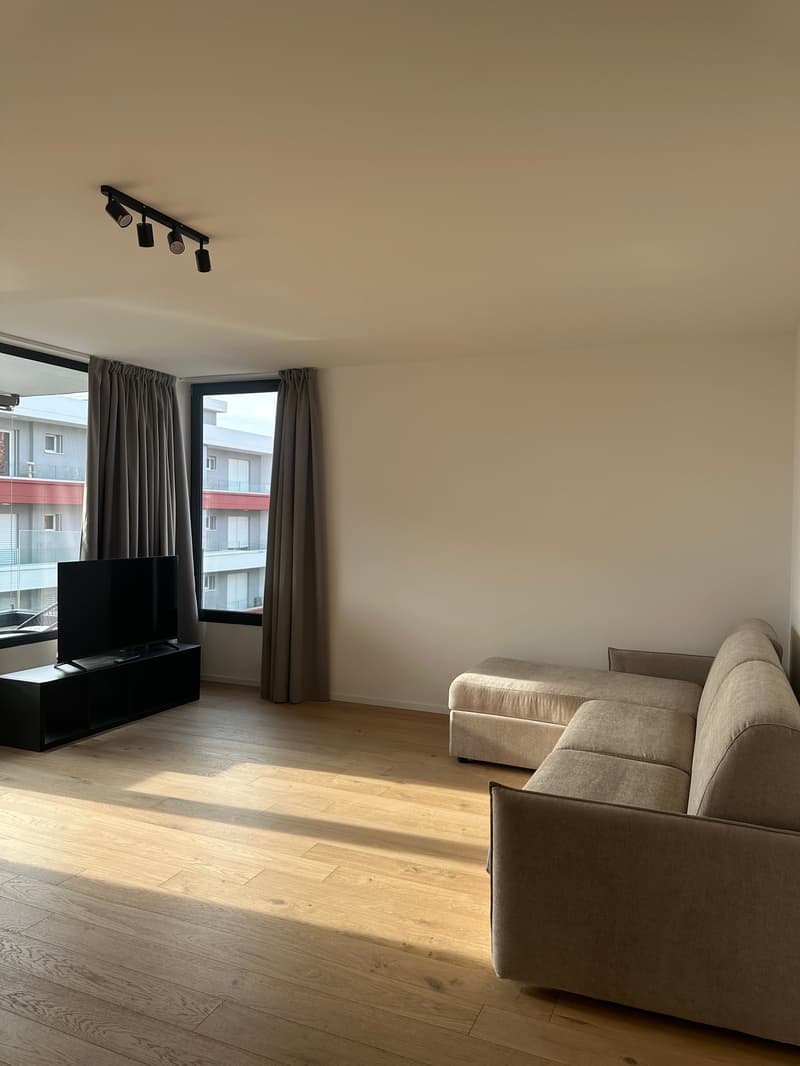 Moderno appartamento 3.5 locali a Viganello con vista panoramica (9)