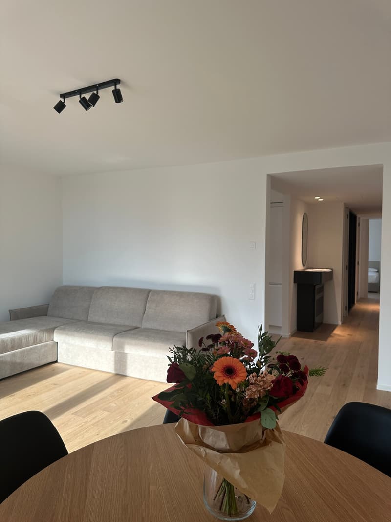 Moderno appartamento 3.5 locali a Viganello con vista panoramica (3)