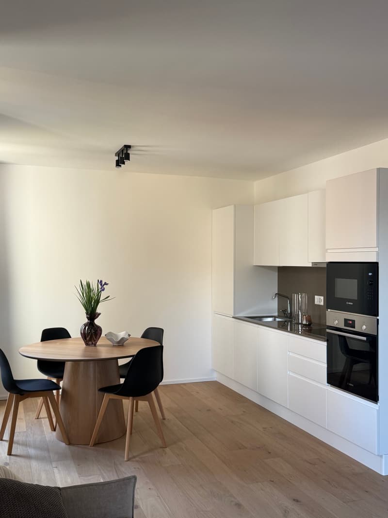 Accogliente appartamento 2.5 locali a Viganello con balcone (5)