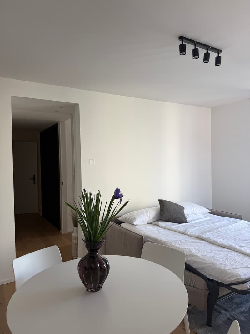 Single room with a bed, table, white walls, a door to another room, white floor, plants
