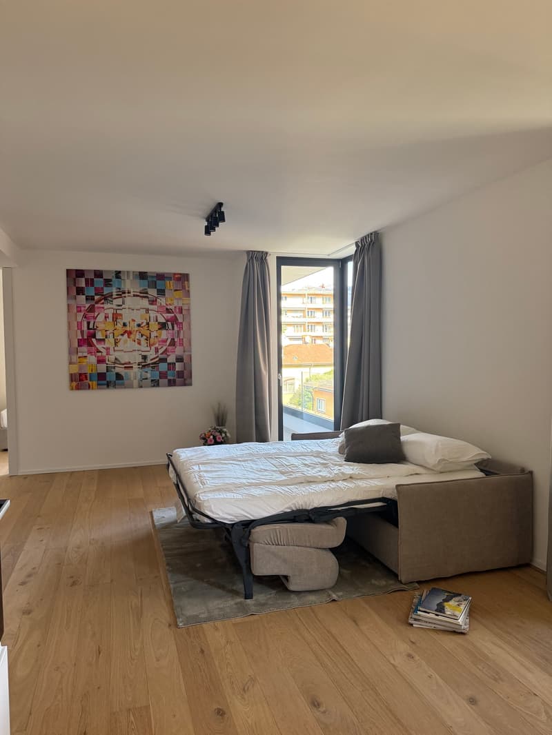 Bedroom with modern decor, white walls, hardwood floor, double bed, pillows, grey rug, abstract painting on wall, balcony, sliding glass door.
