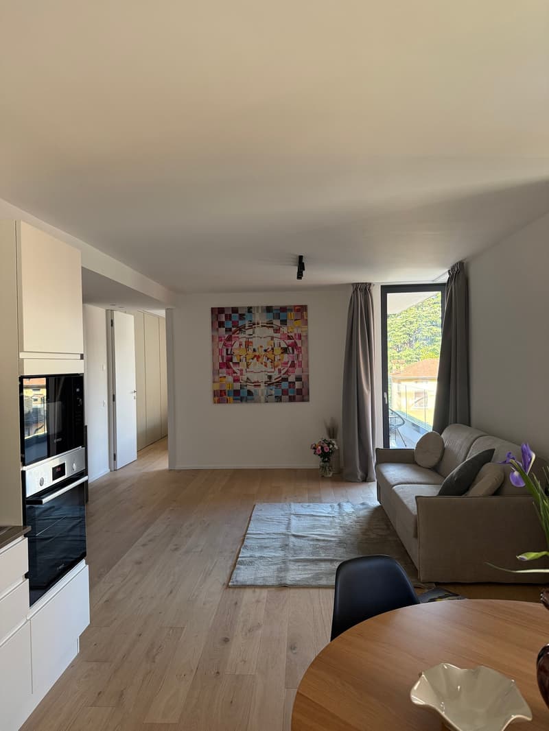 Living room with a wooden floor, modern kitchen appliances, a couch, a rug, and a balcony.