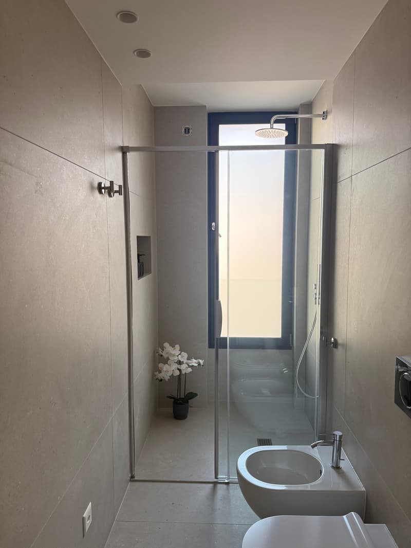 shower cubicle, sink, toilet, window, wall-mounted flower vase