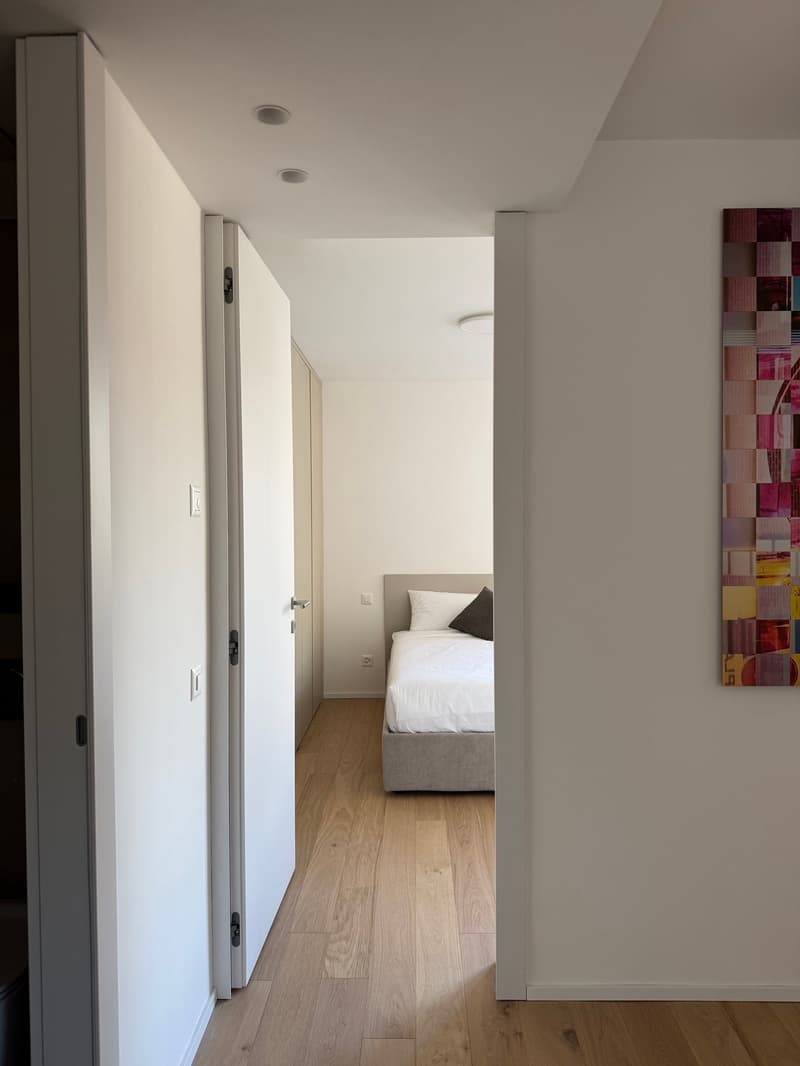 Accogliente appartamento 2.5 locali a Viganello con balcone (2)