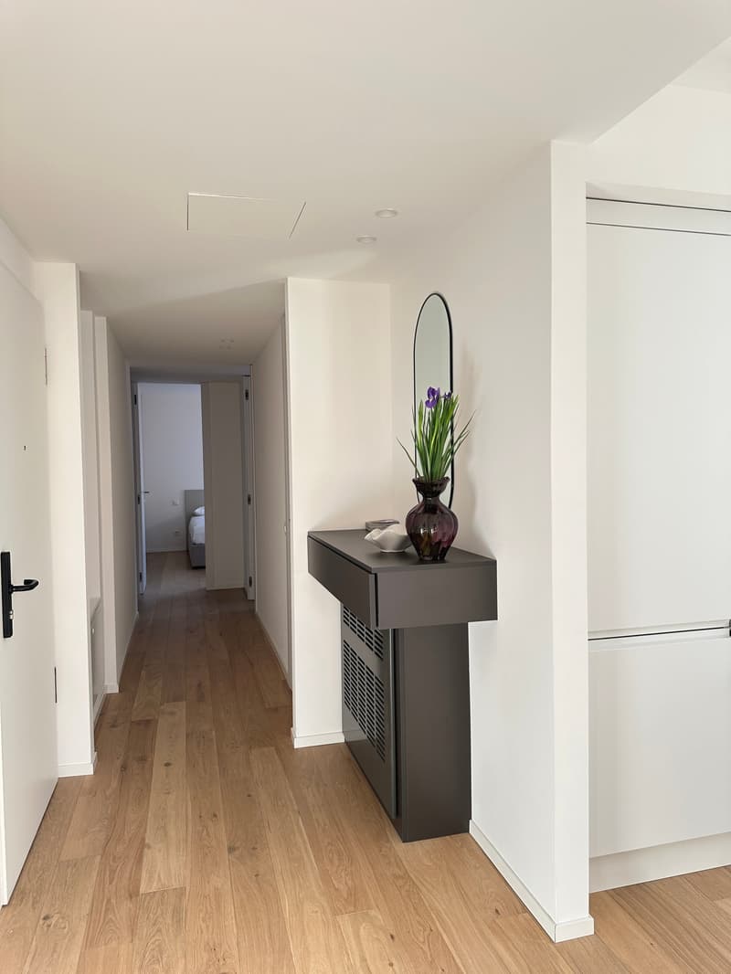 Elegante appartamento 5.5 locali a Viganello con balcone (3)