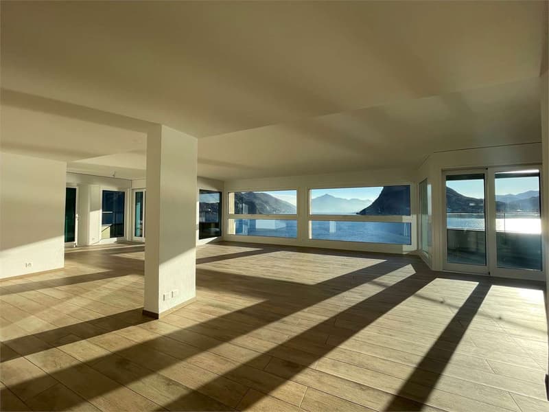 Appartamento con vista panoramica a Cassarate (1)