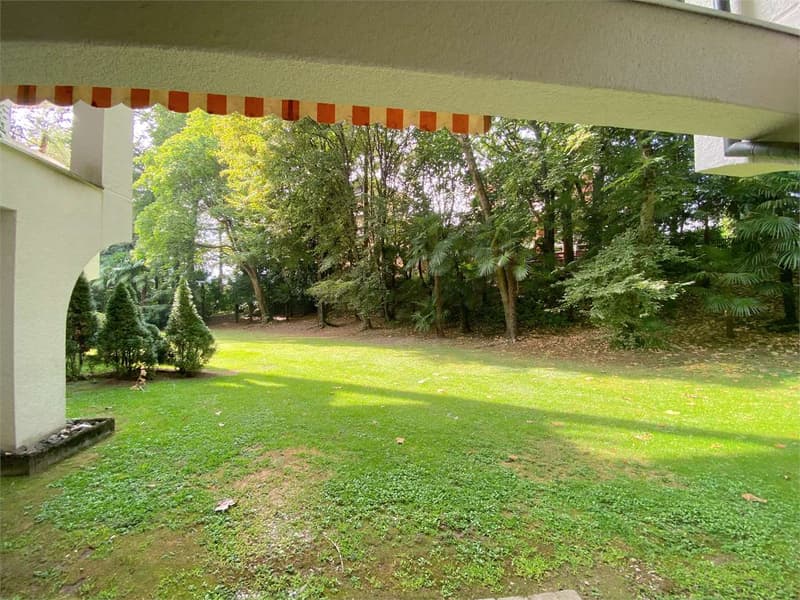 Lugano Parco Maraini - Open space da ristrutturare (13)