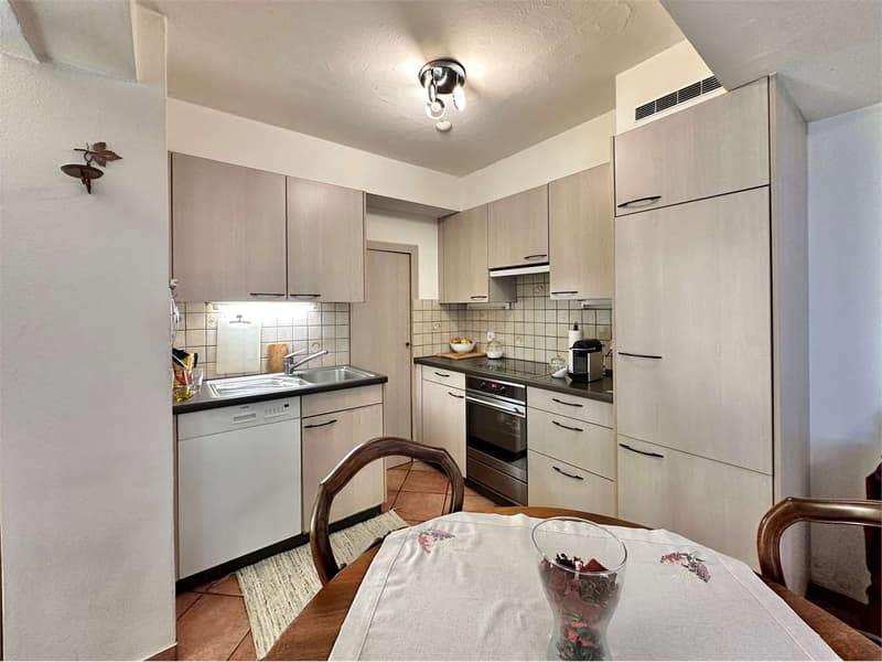 A CURIO immerso nel verde - Duplex di 2.5 locali (3)
