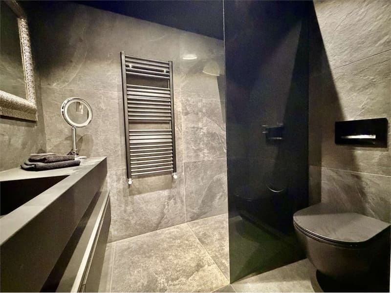 Appartamento 3.5 locali con vista lago in affitto a Porza (Lugano) (12)