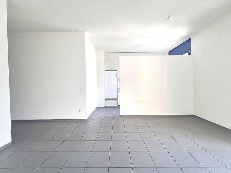 Appartamenti 3.0 locali con balcone in zona ben servita (1)