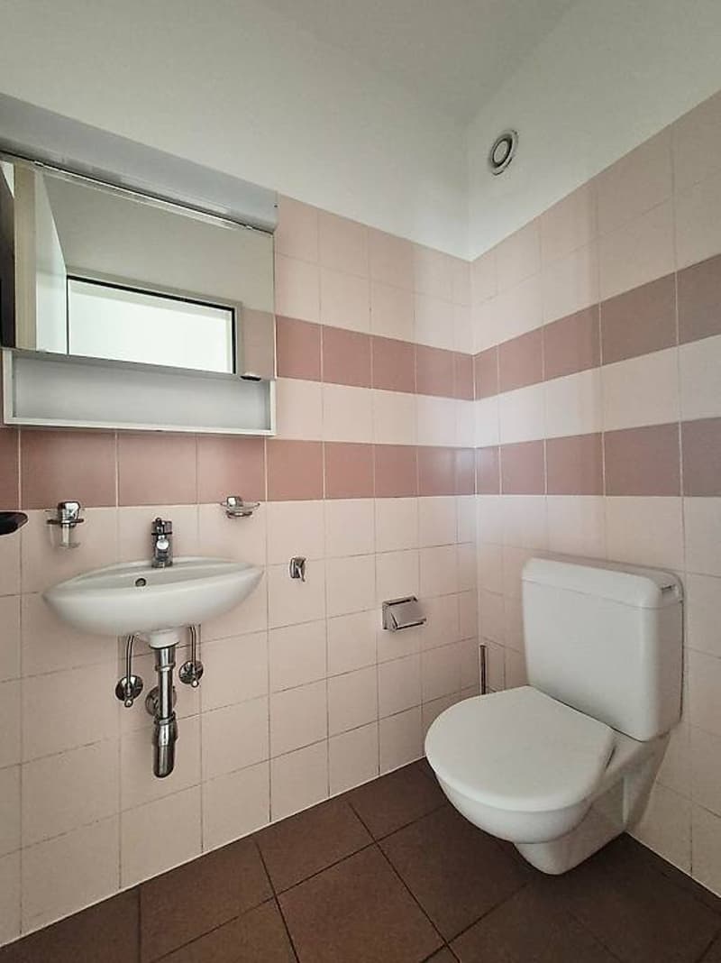 Splendidi Appartamenti Duplex 4.5 (5)