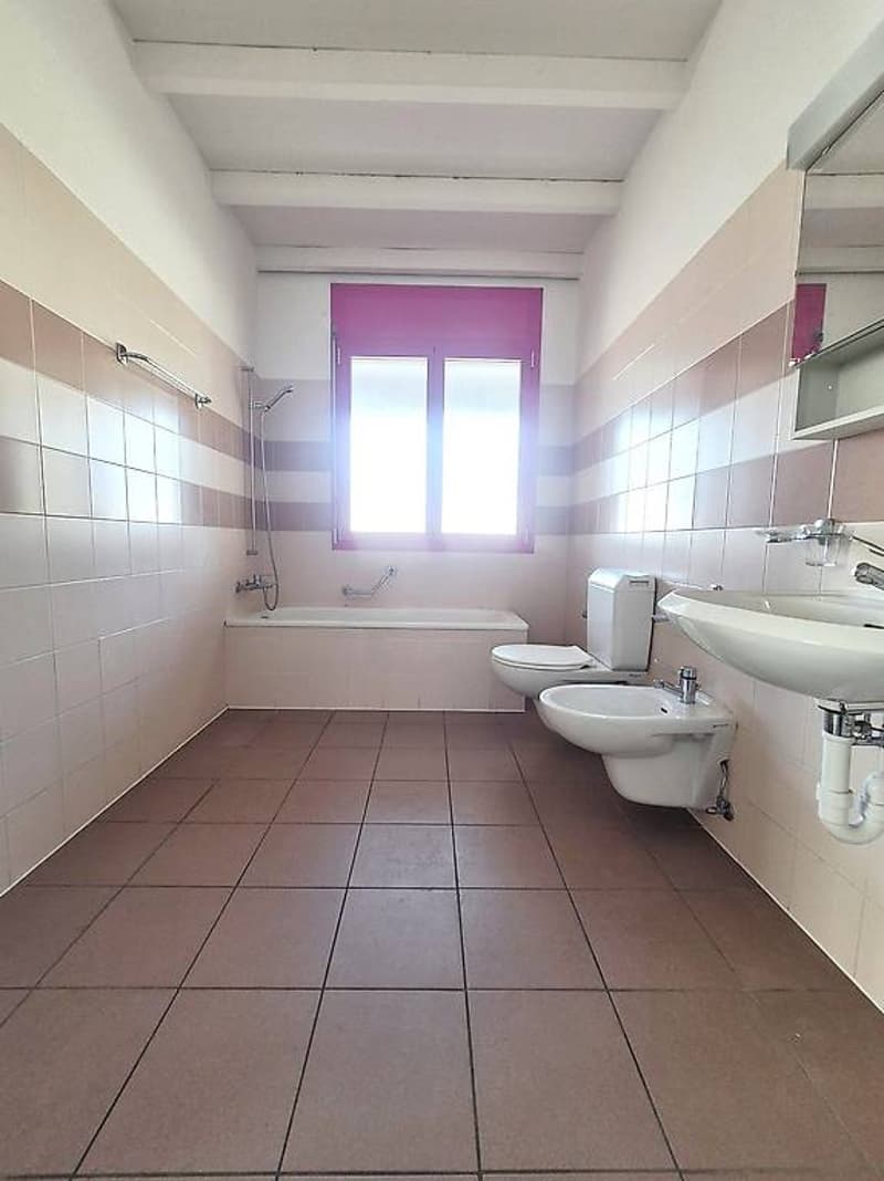 Splendidi Appartamenti Duplex 4.5 (3)