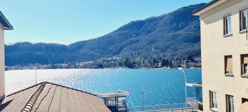 Appartamento 3.5 locali completamente rinnovato con Vista Lago (1)