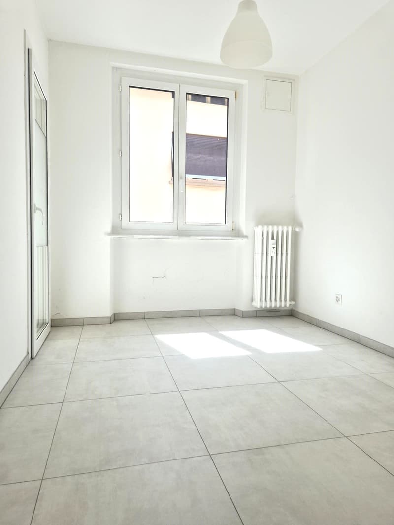Appartamento 3.5 locali completamente rinnovato con Vista Lago (7)