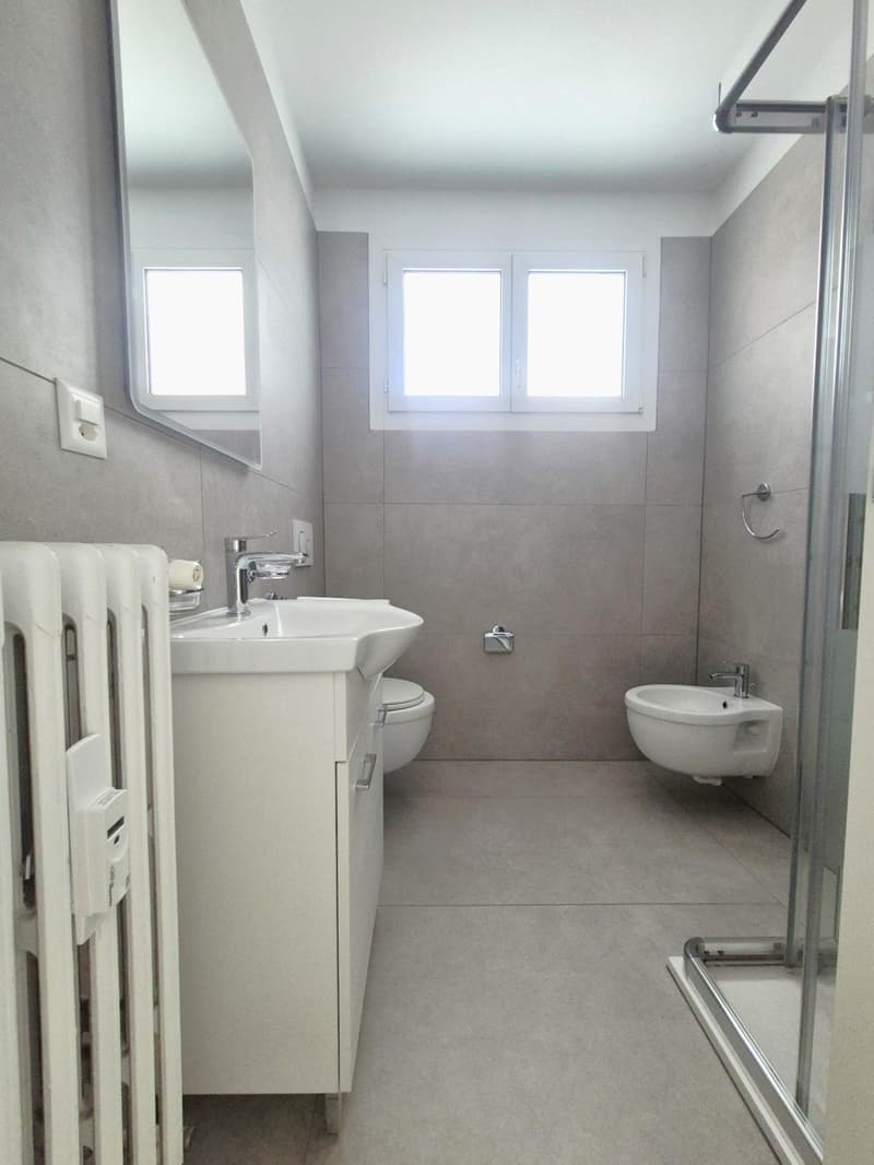 Appartamento 3.5 locali completamente rinnovato con Vista Lago (10)