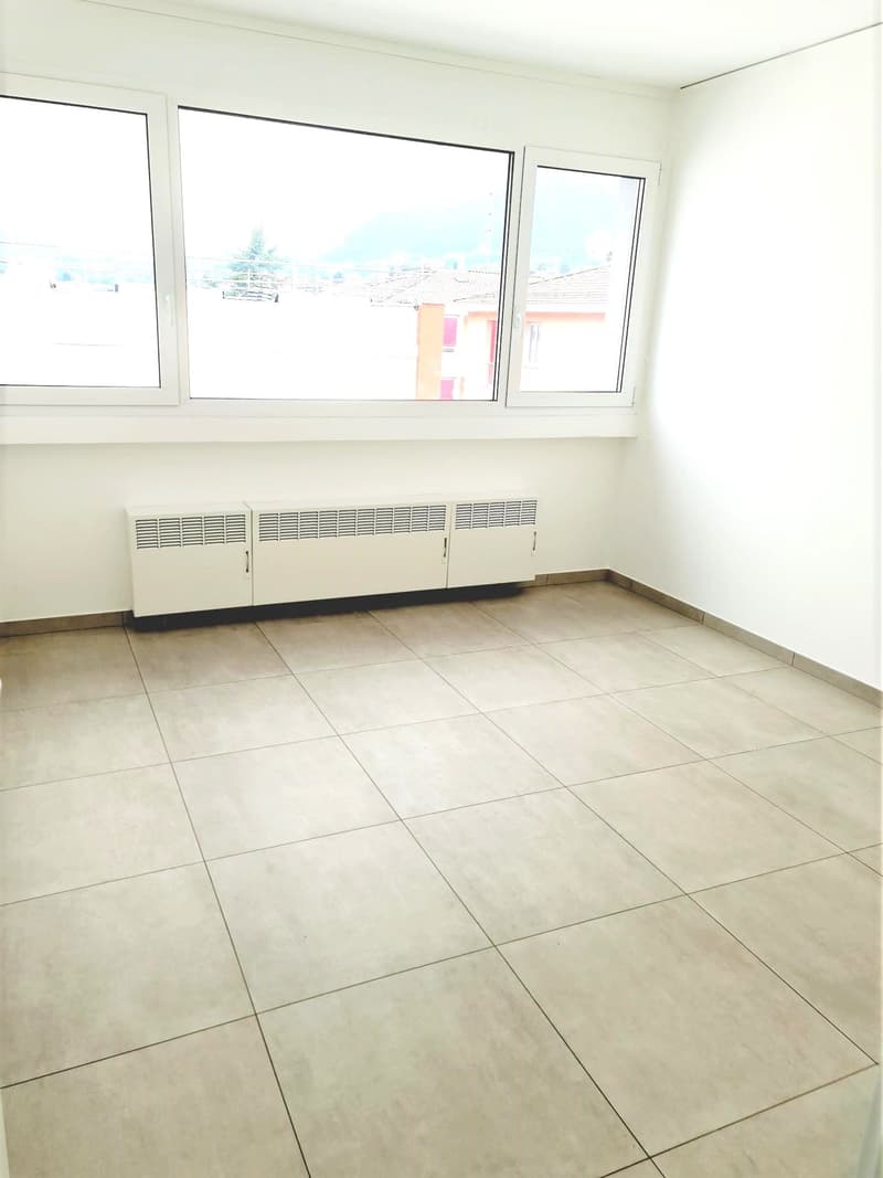 Appartamento 4,5 locali ideale per Famiglie (4)
