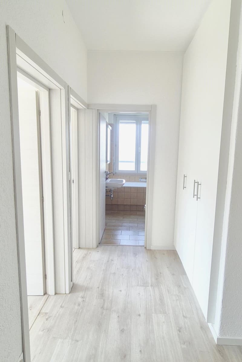 Appartamento 3,5 locali con vista (3)