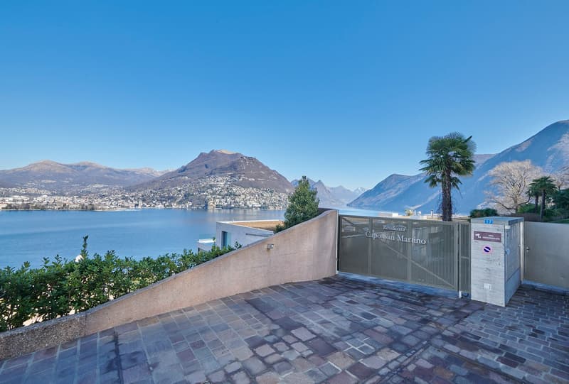 brick wall, metal gate, lake view, mountains, palm tree