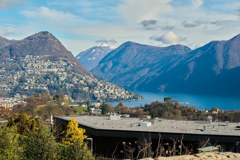 LIBELLULA RESIDENCE: Stupendo appartamento con enorme giardino e vista lago (3)