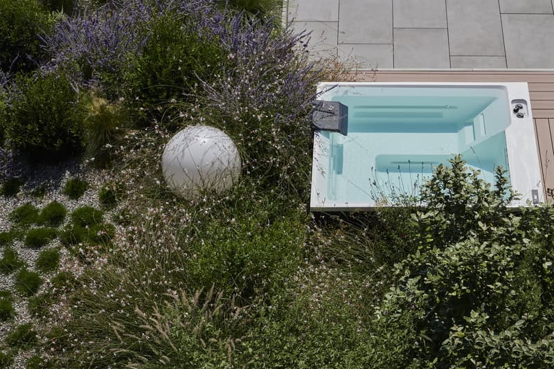 LIBELLULA RESIDENCE: Stupendo appartamento con enorme giardino e vista lago (14)