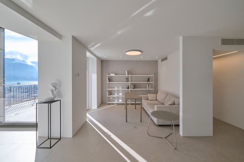 Attico in villa Storica ristrutturata con piscina esterna ed interna (5)
