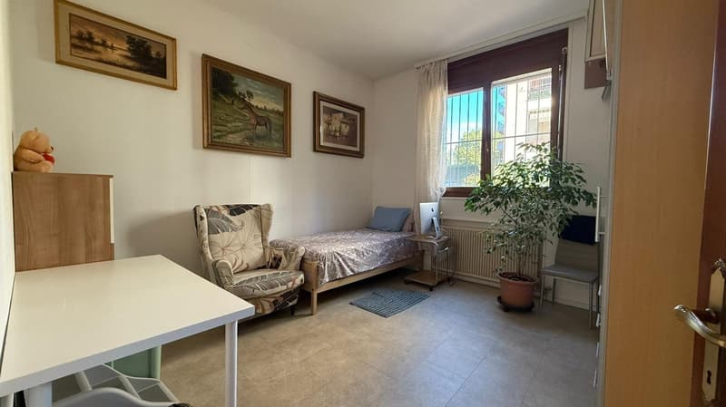 bed, desk, single bed, armchair, chair, framed pictures, potted plant, stuffed animal, window, radiator