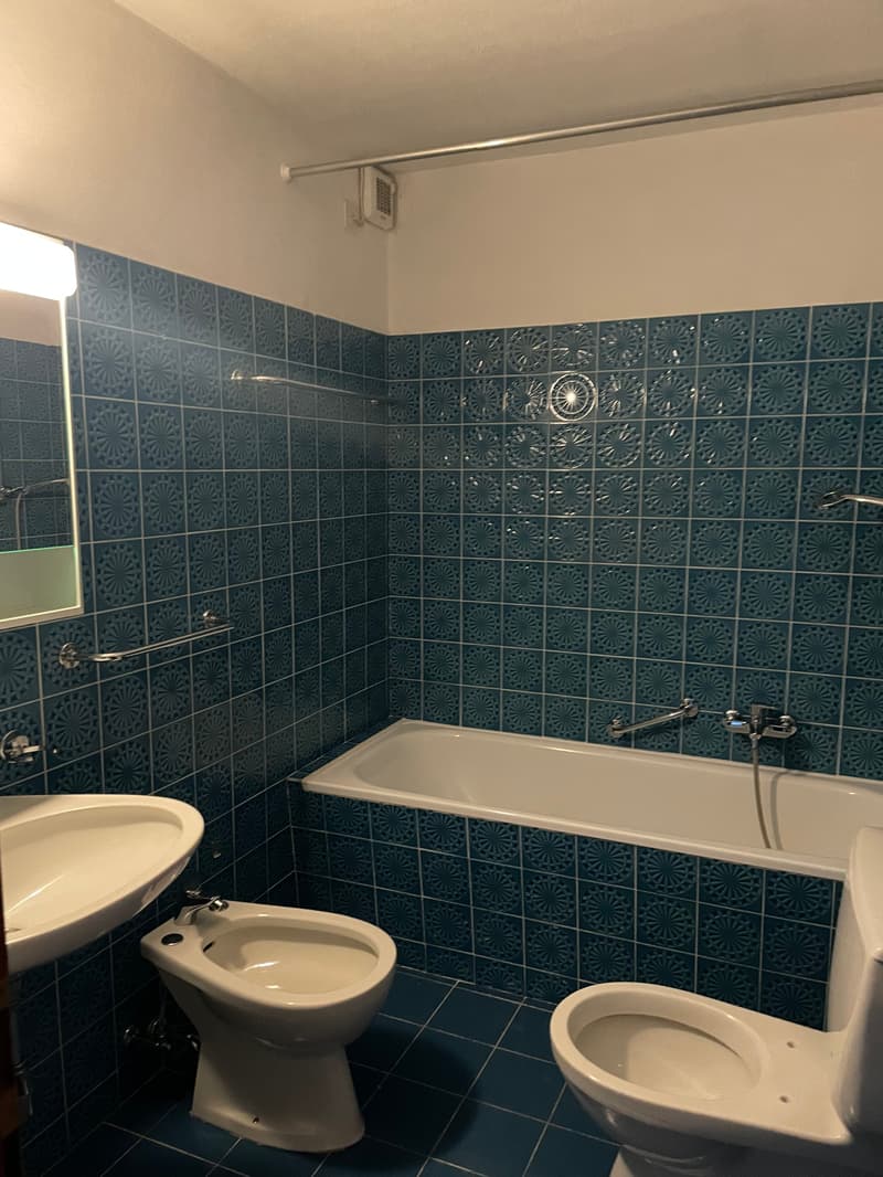 Appartamento di 2,5 locali (4)