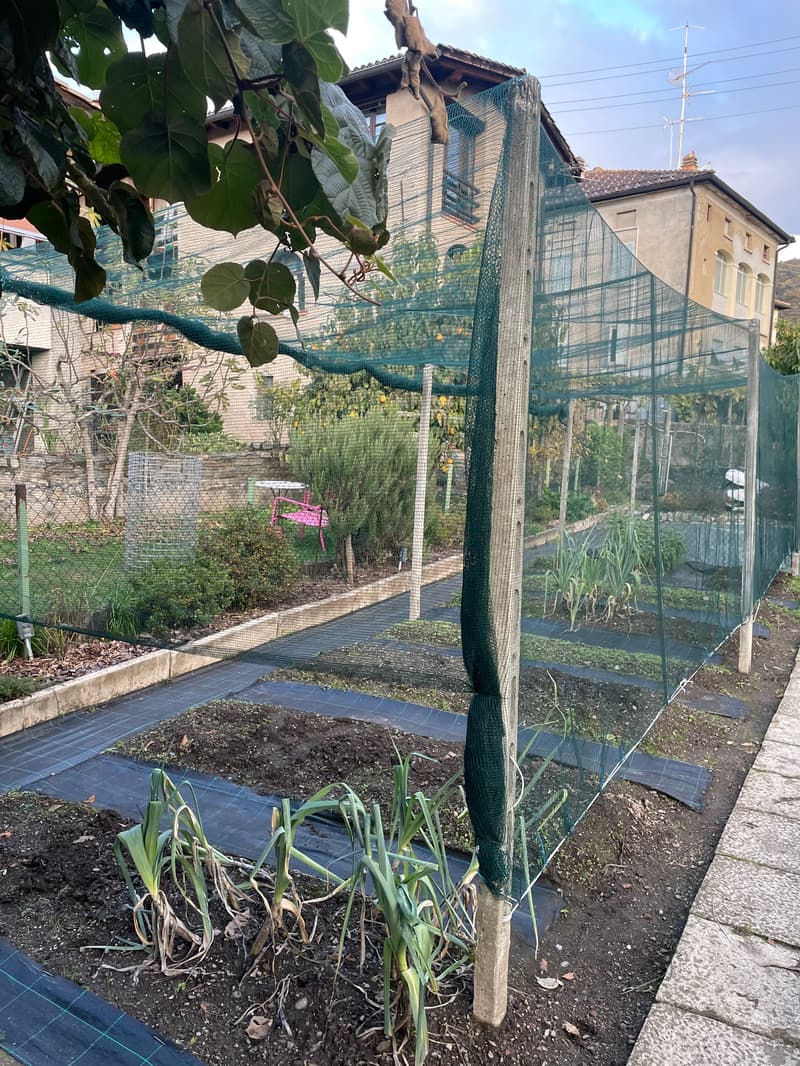 Appartamento di 2,5 locali (6)