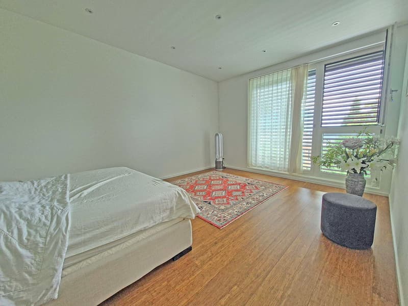 Stupenda villa in stile minimal con Standard Minergie (9)