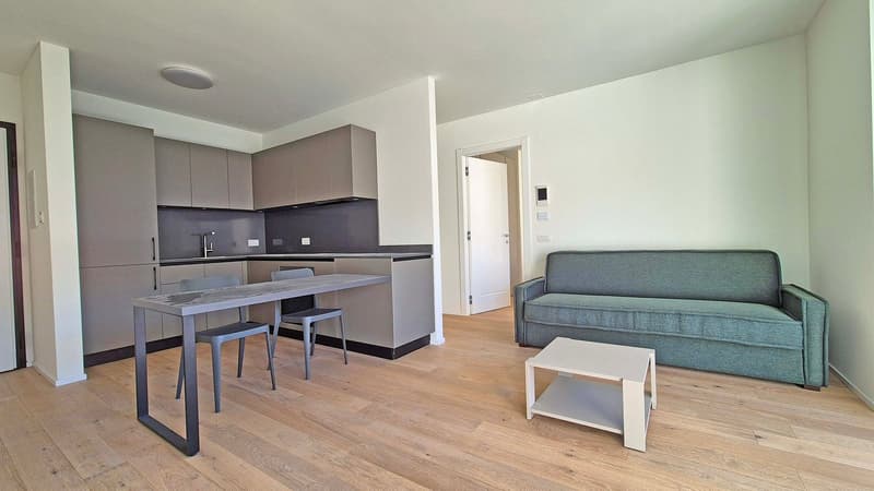 Rent to buy - appartamento nuovo di 2,5 locali (2)