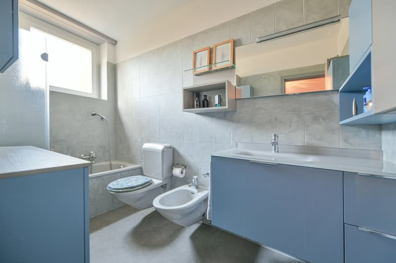 Exklusives Attika-Penthouse in Paradiso mit 360° Seeblick als Zweitwohnsitz erwerbbar. (10)