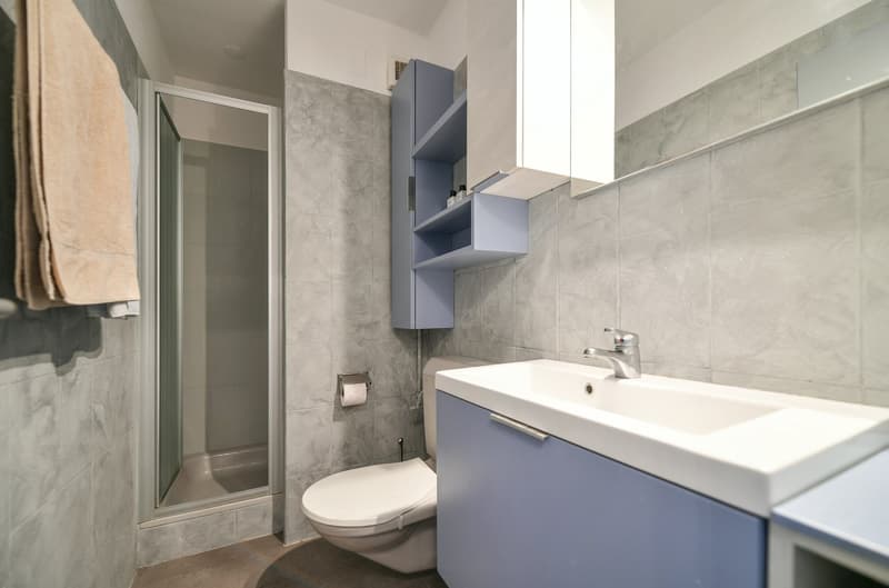 Exklusives Attika-Penthouse in Paradiso mit 360° Seeblick als Zweitwohnsitz erwerbbar. (9)