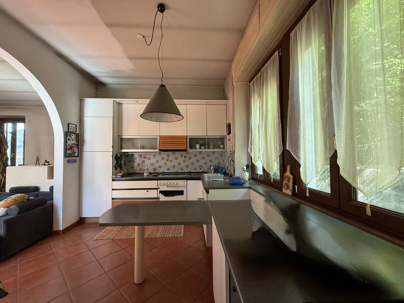Grande casa immersa nel verde con parco edificabile (9)