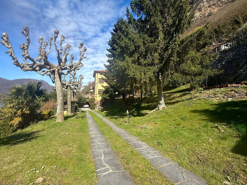 Grande casa immersa nel verde con parco edificabile (12)
