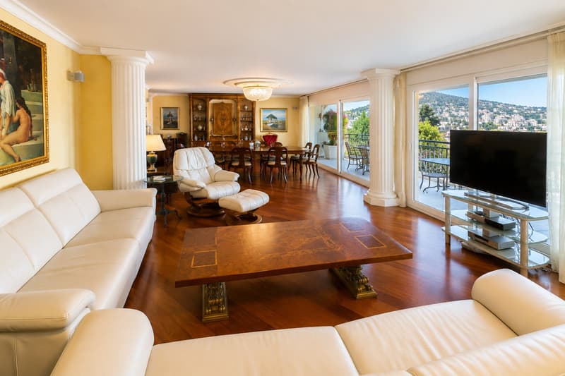 Pregassona – Elegante appartamento di 7 locali con terrazza, piscina e area wellness (2)