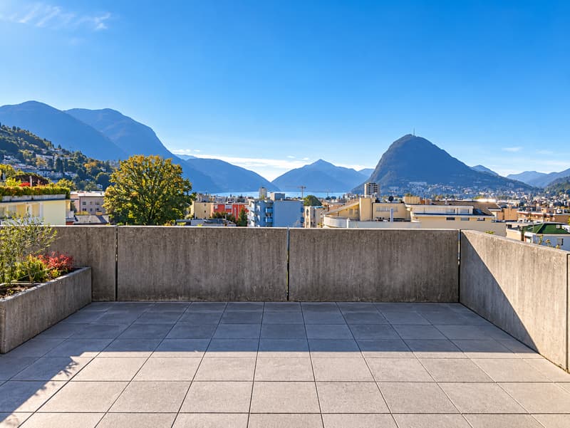 3, locali con grande terrazza, piscina, palestra e area wellness (14)