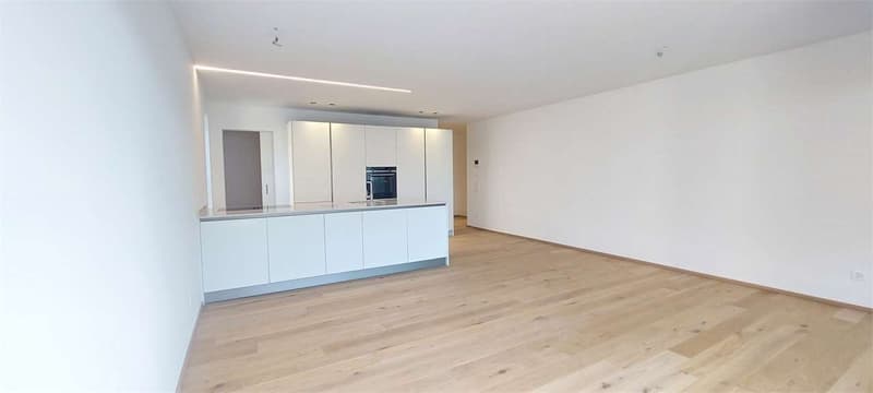 2318_Nuova Residenza a Massagno, ULTIMI 3.5 locali (3)