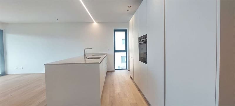 2318_Nuova Residenza a Massagno, ULTIMI 3.5 locali (2)