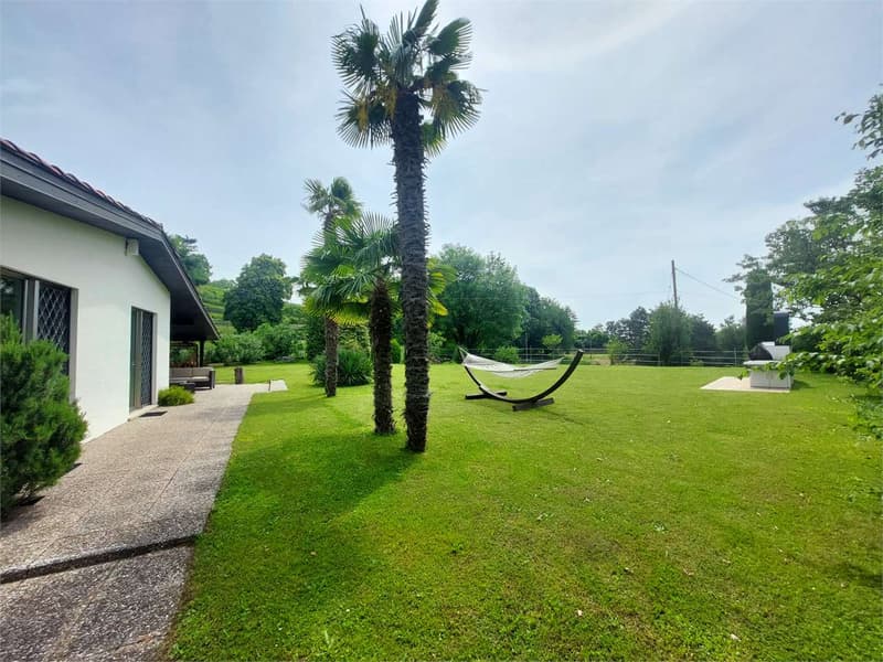 2514_Tremona, meravigliosa villa immersa nel verde (12)