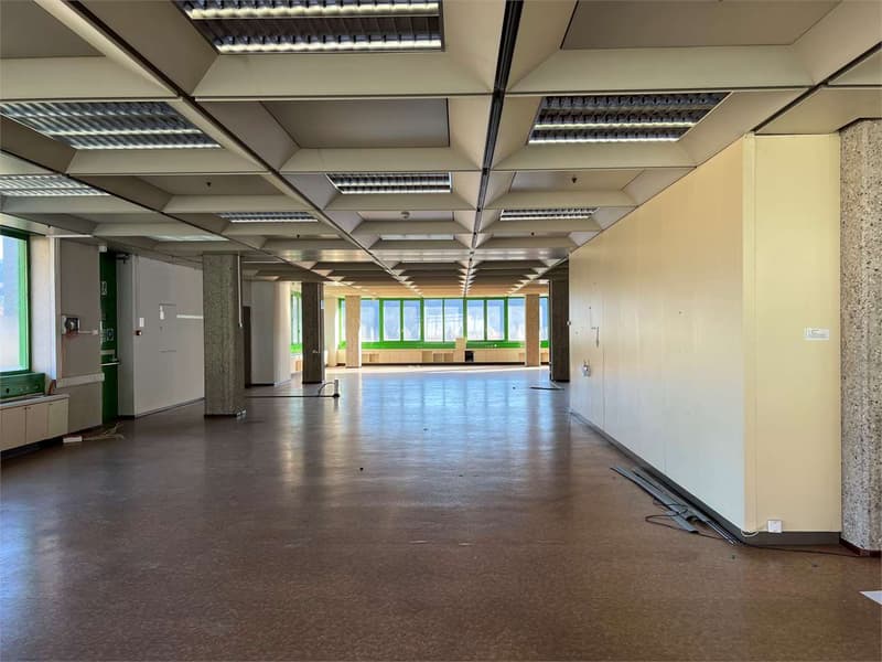 Bioggio in locazione ampio ufficio (3)