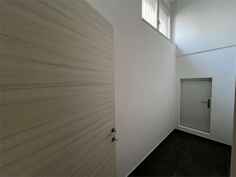 rif.2683 Lugano Ufficio duplex in affitto, zona Parco Ciani (9)
