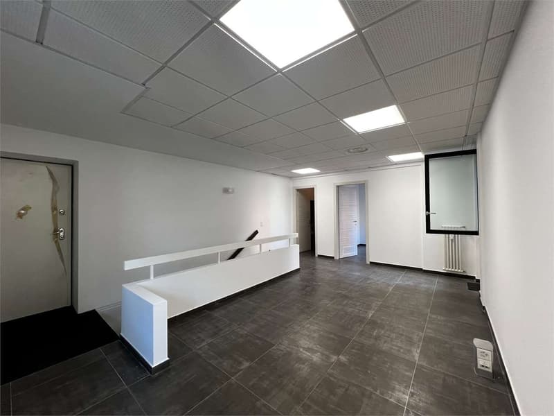 rif.2683 Lugano Ufficio duplex in affitto, zona Parco Ciani (7)