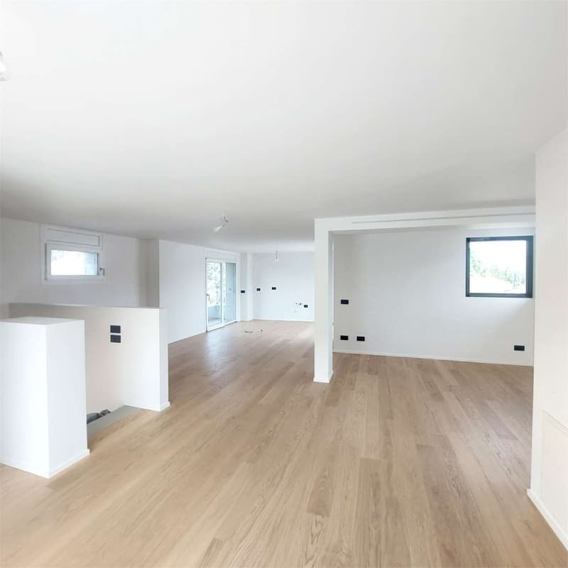 Rif.2680_Gentilino, Attico duplex 3.5 loc. ristrutturato con ampie ter (2)