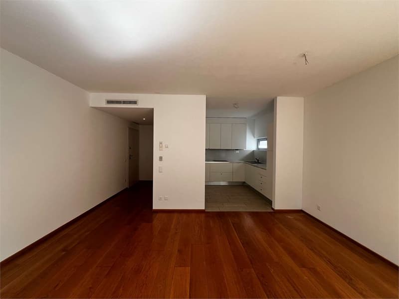 Rif. 2703 Lugano in affitto ampio 2.5 locali con giardino privato (6)