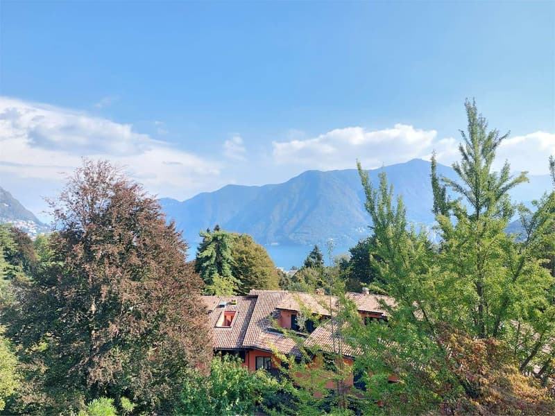 Prestigiosa villa storica con parco privato e vista sul Lago di Lugano (8)
