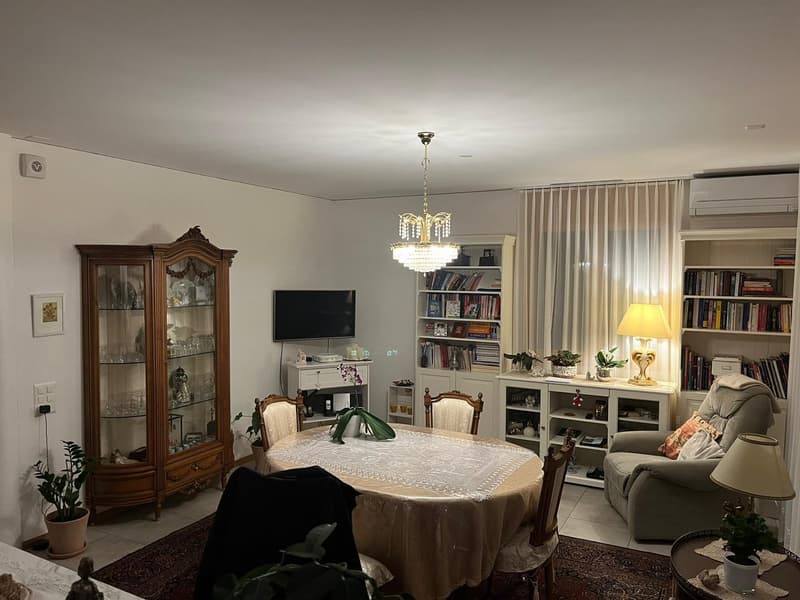 Esclusivo Appartamento 7.5 Locali Bellinzona (2)