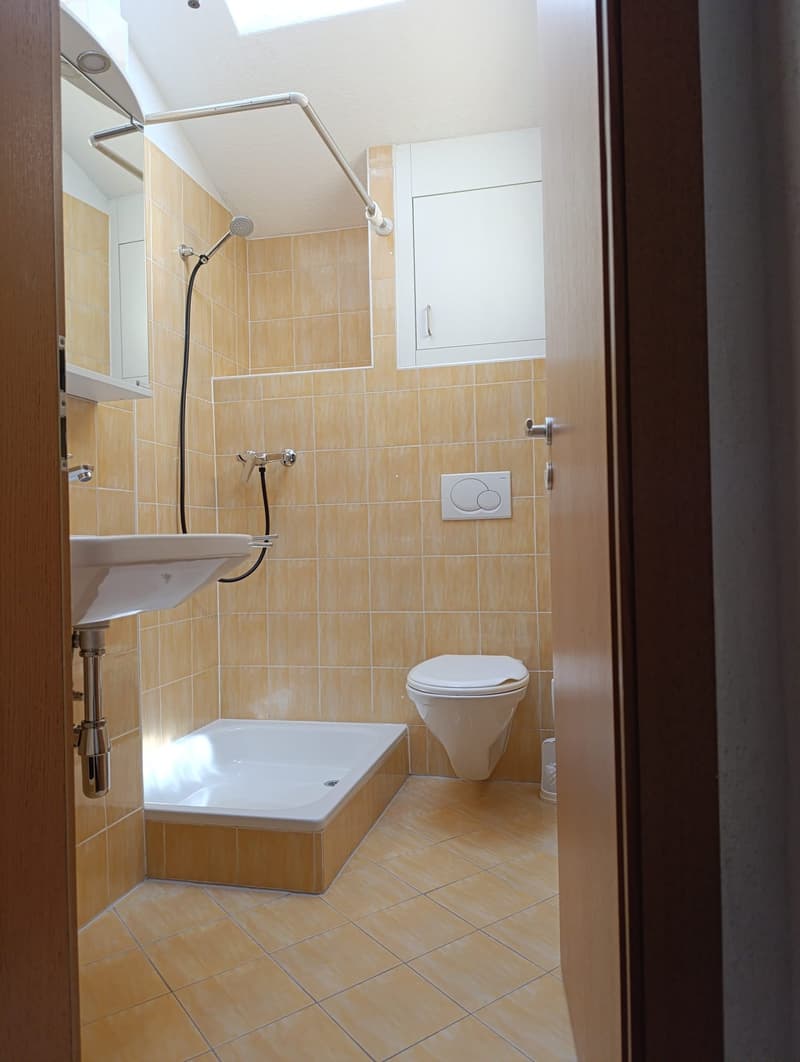 Luminoso appartamento 3.5 locali con camino a Melide (6)